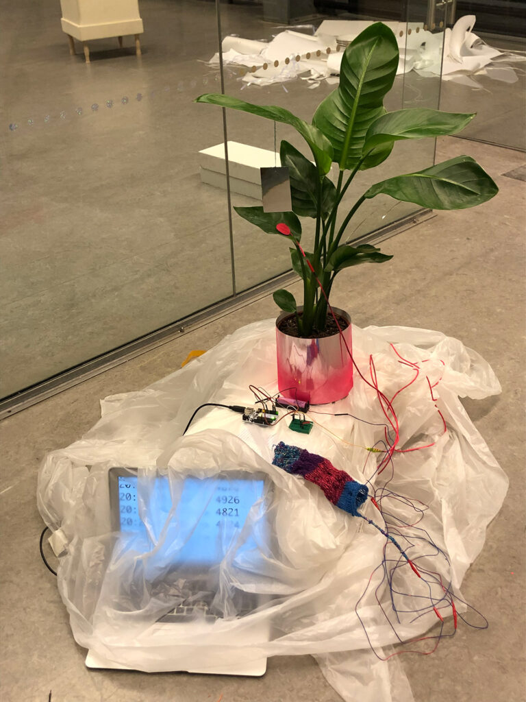 Resonating with Plants